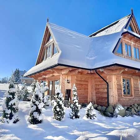 Luxury Chalet Villa Gorsky Hanco & Janso 波罗宁 外观 照片