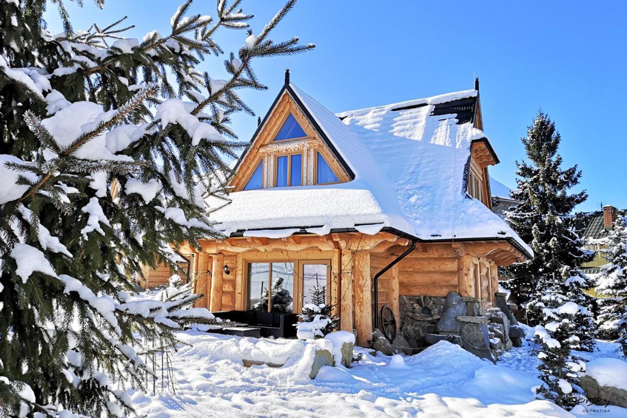 Luxury Chalet Villa Gorsky Hanco & Janso 波罗宁 外观 照片